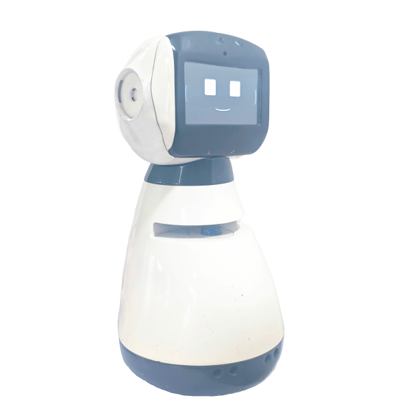 SOCIAL ROBOT