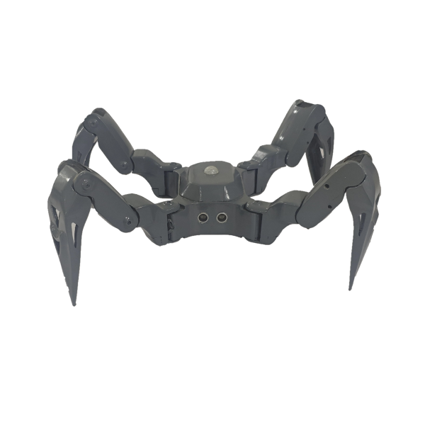 Legged Robot Course Kids